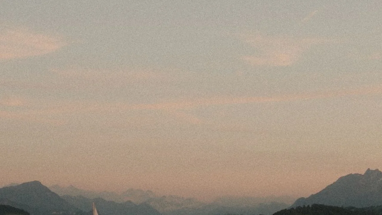 陈姵星头像