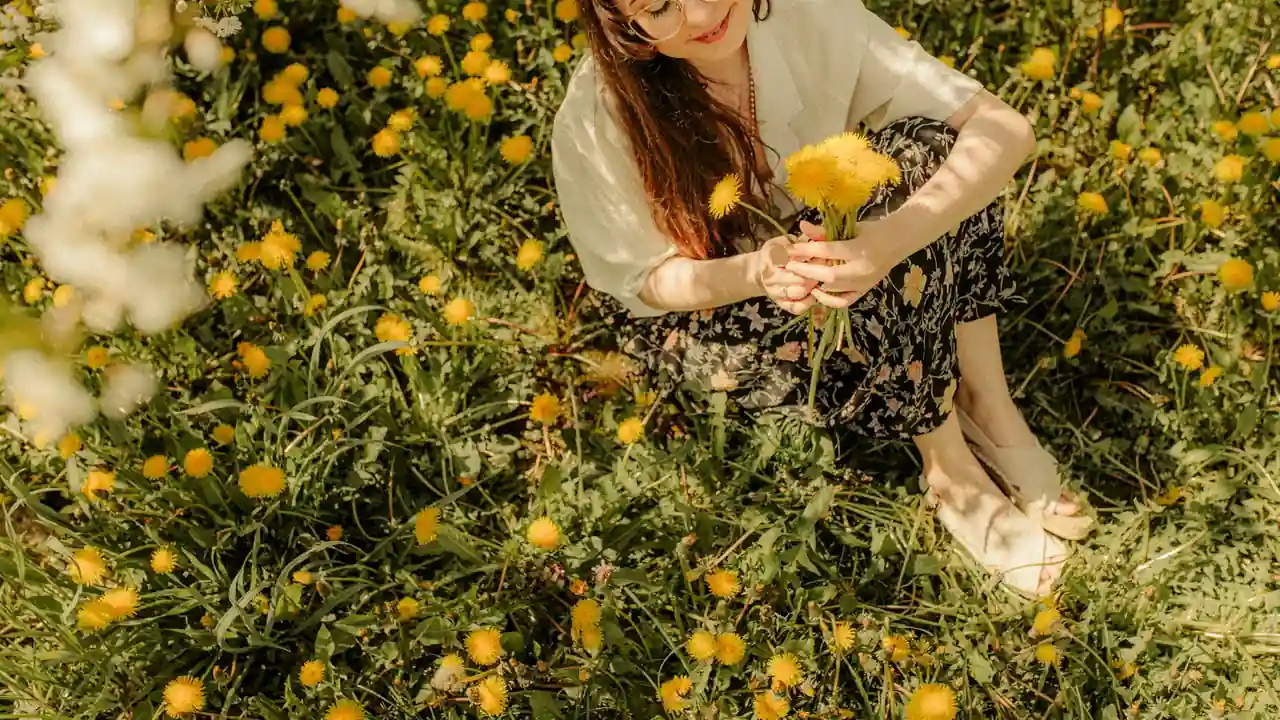 寻找旧版快播 网址时的现状分析与注意事项