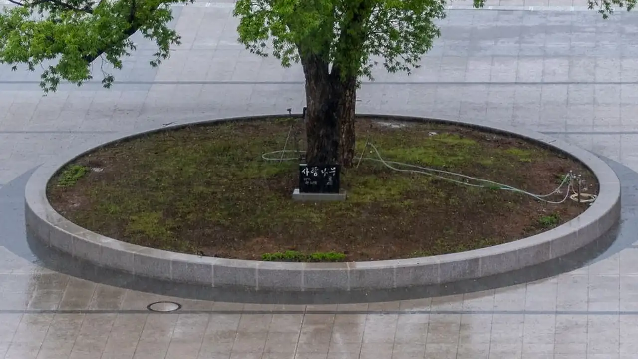 黄网站免费永久在线观看下载的步骤与安全设置说明