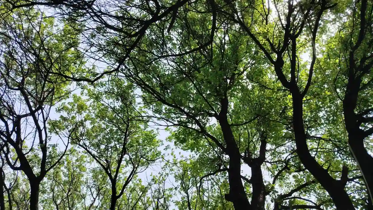 最新成人导航获取渠道与日常使用细节