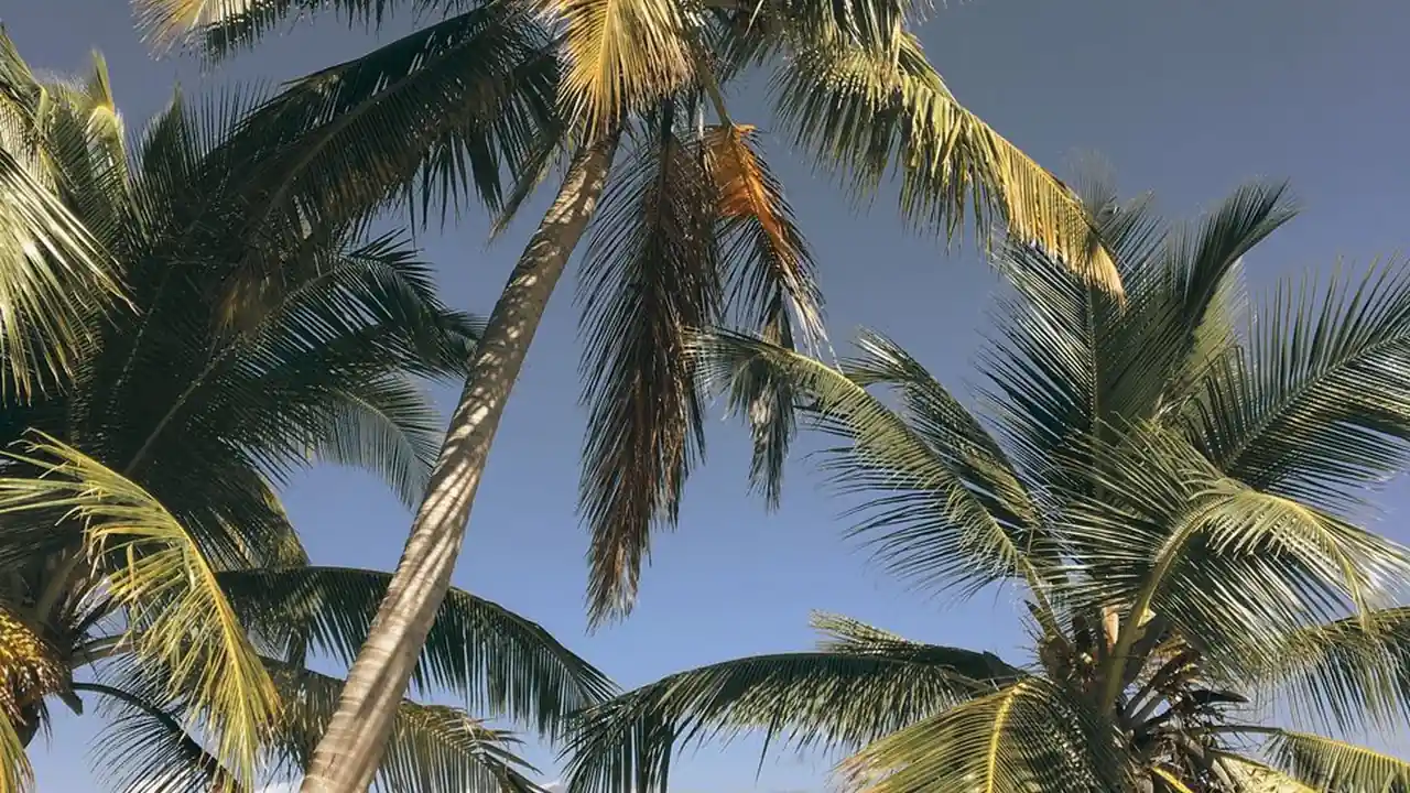 全名足球到底适合什么样的玩家体验？